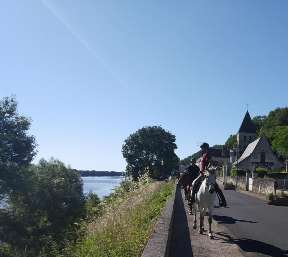 Vila Naturellement Loire ! Saint-Martin-de-la-Place Exteriér fotografie